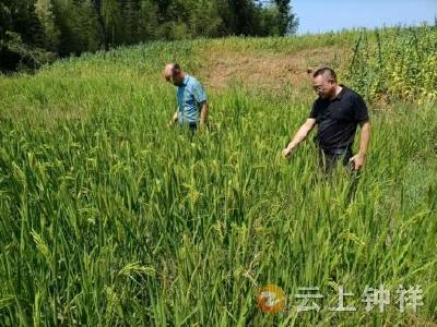 “渴”不容缓！ 温峡口水库全力抗旱保供水