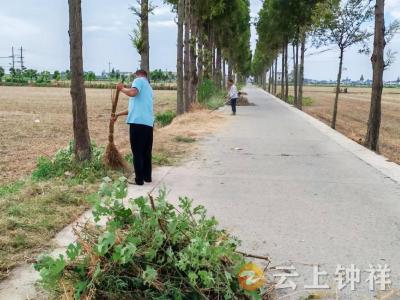 石牌镇姚台村：村民积极行动 共建美丽家园