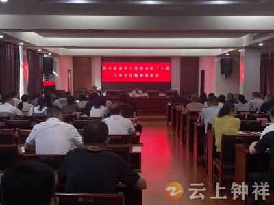 郢中街道学习贯彻党的二十届三中全会精神