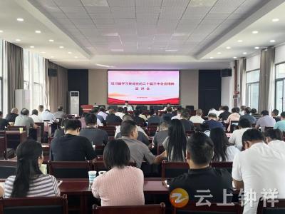 双河镇学习贯彻党的二十届三中全会精神