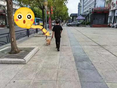 城市管理“文明红黄榜”第六十四期