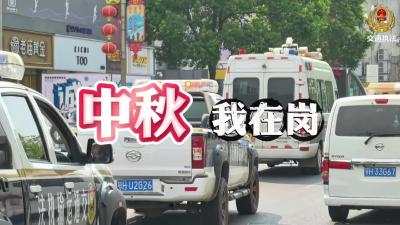 每日一报（9月16日）