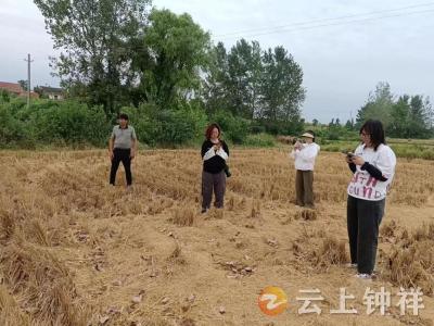 翻山越岭寻古迹 洋梓镇扎实开展第四次全国文物普查工作