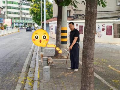 城市管理“文明红黄榜”第六十六期
