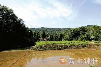 【钟祥地名故事】（第三期）天泉绝顶青峰山