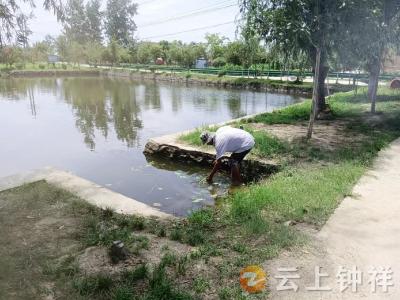 长寿镇：小微水体常态管护 村居环境秀美如画