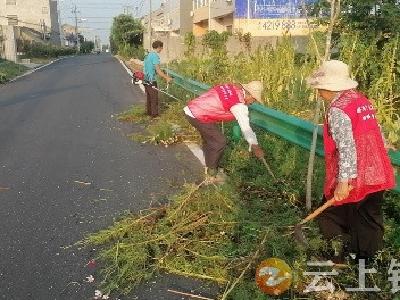 旧口镇刘湖村：“清保行动”共同缔造美丽家园