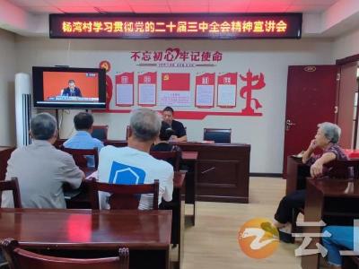 磷矿镇杨湾村学习贯彻党的二十届三中全会精神