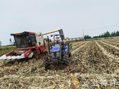 郢中街道林集社区：“变废为宝”共筑秸秆禁烧新防线