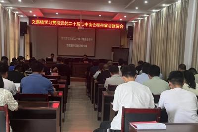 文集镇学习贯彻党的二十届三中全会精神