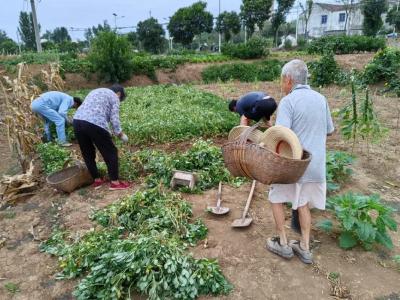 胡集镇金牛山社区：关爱留守老人 网格服务暖人心