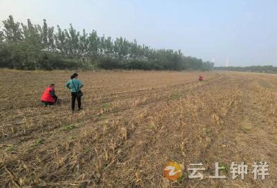 磷矿镇浰河村：志愿者耐心调解 纠纷圆满化解