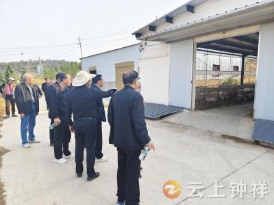 重阳聚首话发展 洋梓镇组织离退休干部开展迎重阳活动