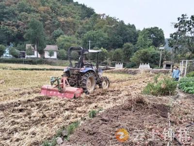 久旱逢甘霖——客店镇抢抓时机忙秋播