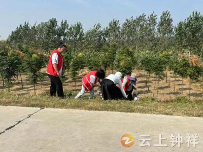 郢中街道冯家岭社区：清洁家园 你我同行