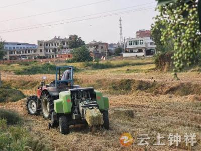 旧口镇：秸秆打捆来回收 禁烧工作见成效