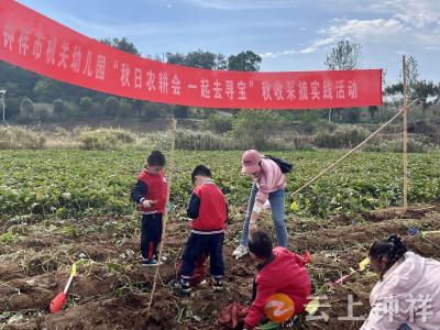 钟祥市机关幼儿园：秋日农耕会 一起去寻宝