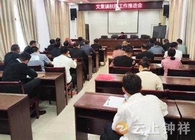 文集镇：走好秋播“三步棋” 绘就来年好“丰”景