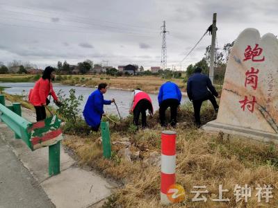 冷水镇鲍岗村：积分助力美丽乡村建设