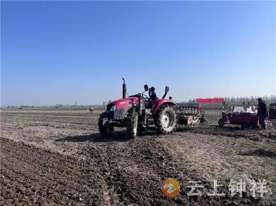 柴湖镇：多管齐下推进秋冬播 筑牢粮食安全防线