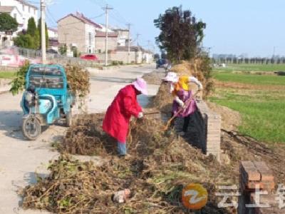 石牌镇关庙村：清洁家园齐动手 美好环境共缔造