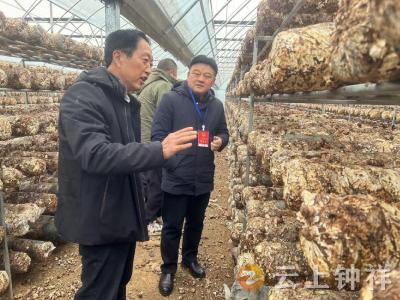 张集镇：考察食用菌种植技术 打通乡村产业致富路