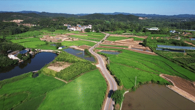 红土地 新“薯光”