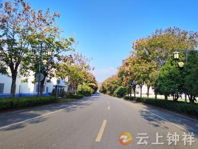 钟祥：织美丽“途景” 绘幸福“钱景”