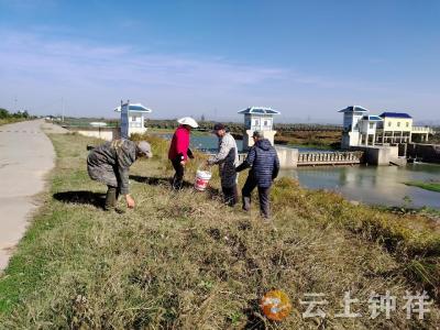 旧口镇：民间河湖长用心守护河流生态