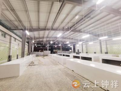 大柴湖菜市场：升级改造展新姿，烟火重燃惠民生