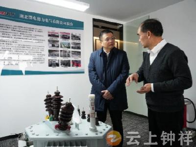 李鹏调研钟祥（武汉）离岸科创中心发展工作