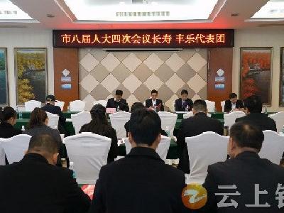 王小庆参加长寿 丰乐代表团讨论