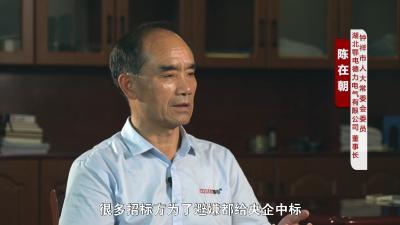 《我当代表为人民》七：陈在朝