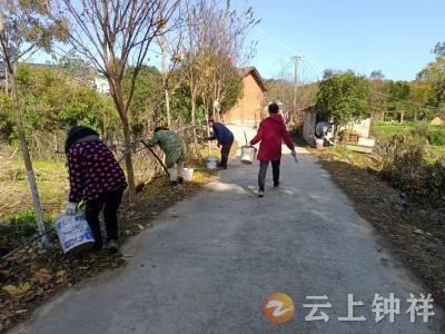 张集镇宗湾村：积分制助力树木安全越冬