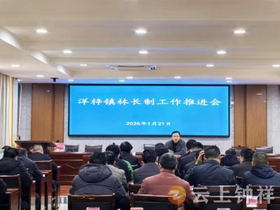 洋梓镇积极推进2025年林长制工作