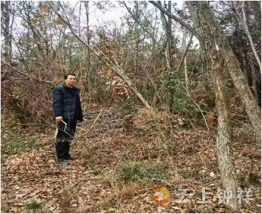 东桥镇三星村开展森林防火宣传巡查
