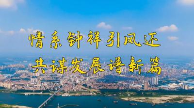 情系钟祥引凤还  共谋发展谱新篇#湖北钟祥