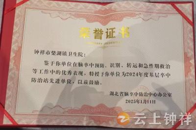 喜讯！柴湖镇中心卫生院荣获全省基层卒中防治站“先进单位”称号