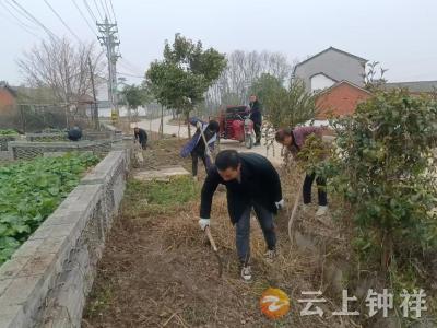 石牌镇桂竹村：桂竹是我家 美丽靠大家 