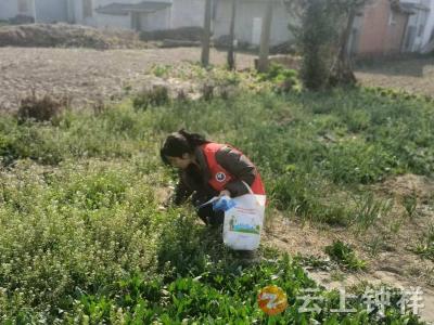 旧口镇：踏查宣传不停步 禁种铲毒守净土