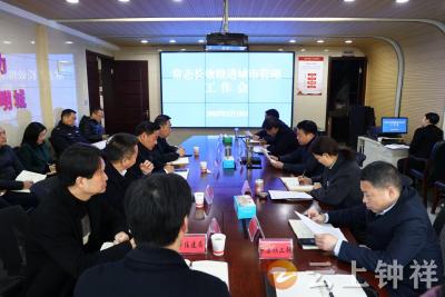 钟祥：坚持推进常态长效 不断提升城市精细化管理水平