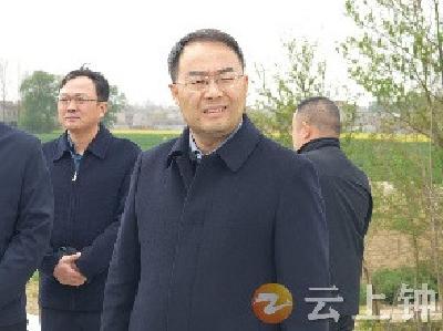 张勇调研石牌镇美丽乡村建设等工作