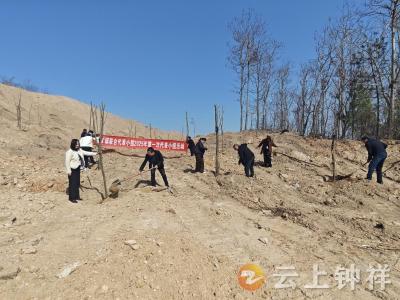 磷矿镇人大联合代表小组开展植树复垦活动 共筑绿色乡村振兴梦
