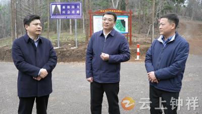 李鹏开展一季度巡林工作