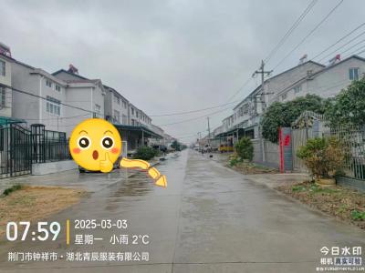 城市管理“文明红黄榜”第八十五期