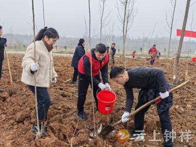 “植”此青绿 “胡”航发展——胡集镇开展义务植树活动