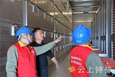 钟祥：电力护航 蛋鸭养殖迈向智能化