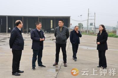 省科协调研组到钟祥调研科技助力乡村振兴工作