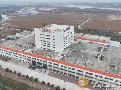 【强县工程看钟祥】湖北九阳豆业公司：以“豆”为媒  助力钟祥县域经济高质量发展
