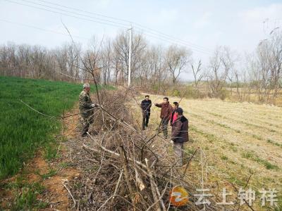 东桥镇网格化解矛盾纠纷  邻里握手和谐共处